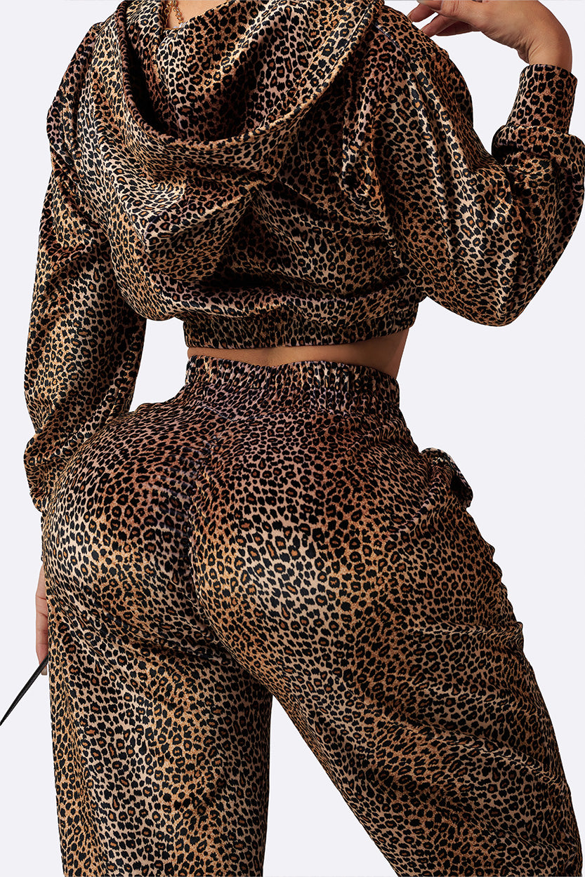 Jogger Set Cougar